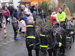 3 Image 2025-06-12 at 12.15.532